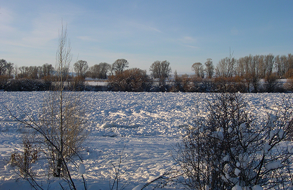 What You All Are Getting Away From What you all are getting away from
Winter in Saint Anthony, Idaho