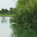 El Tigre Golf Course, Nuevo El Tigre Golf Course, Nuevo Vallarta