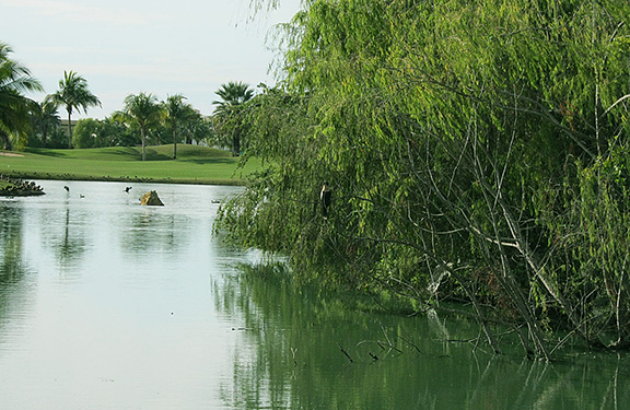 El Tigre Golf Course, Nuevo Vallarta El Tigre Golf Course, Nuevo Vallarta
