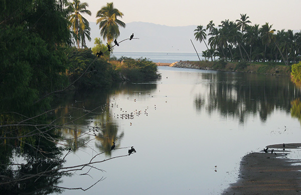 Pitillal River