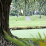 Marina Vallarta Golf Course Marina Vallarta Golf Course