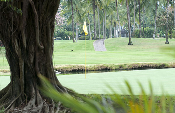 Marina Vallarta Golf Course