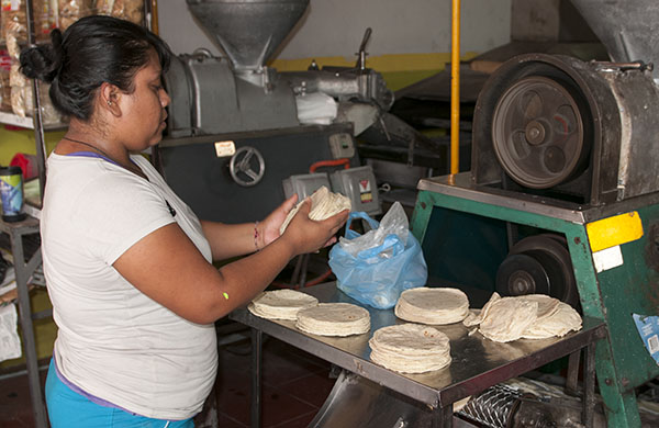 Fresh Tortillas
