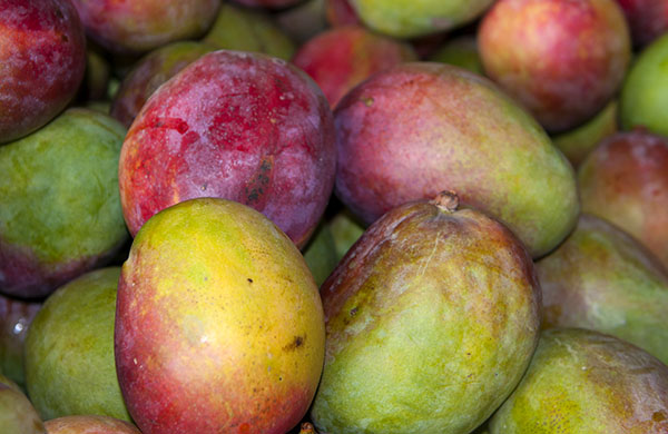 Fresh Mangoes