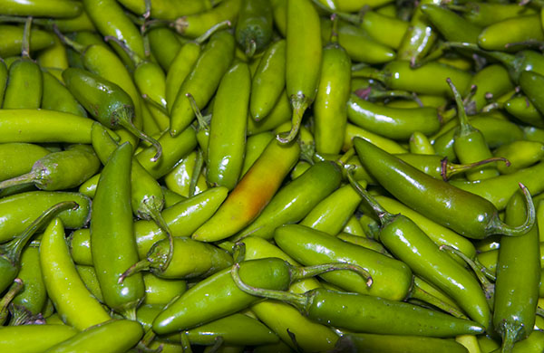 Fresh Jalapenos