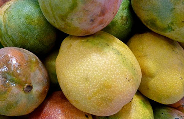 Delicious Mangos